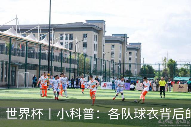 世界杯丨小科普：各队球衣背后的故事